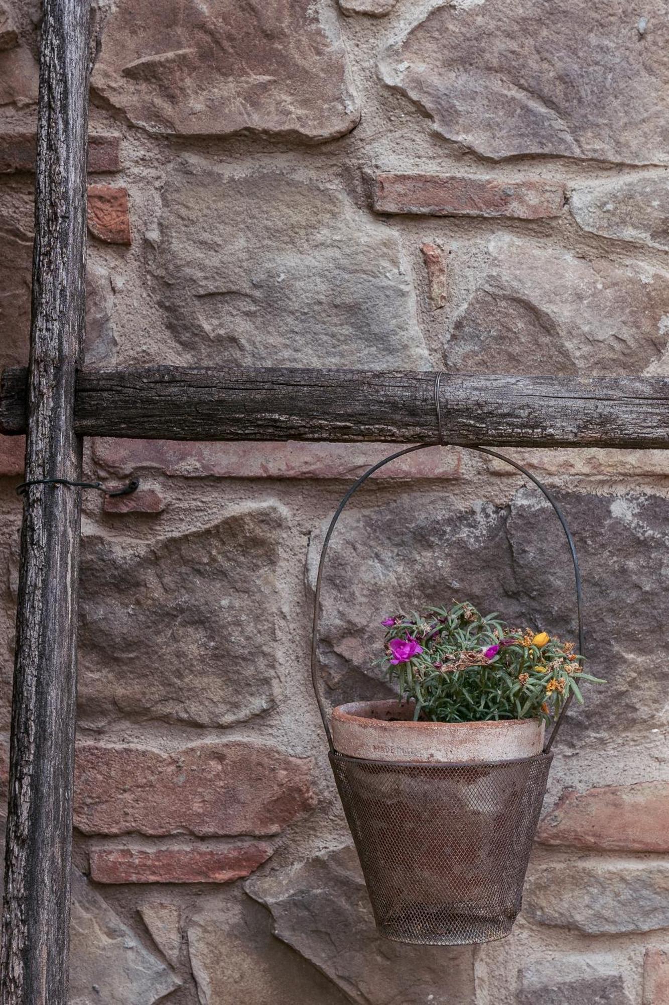 B&B Al Vecchio Forno Montepulciano Stazione Εξωτερικό φωτογραφία